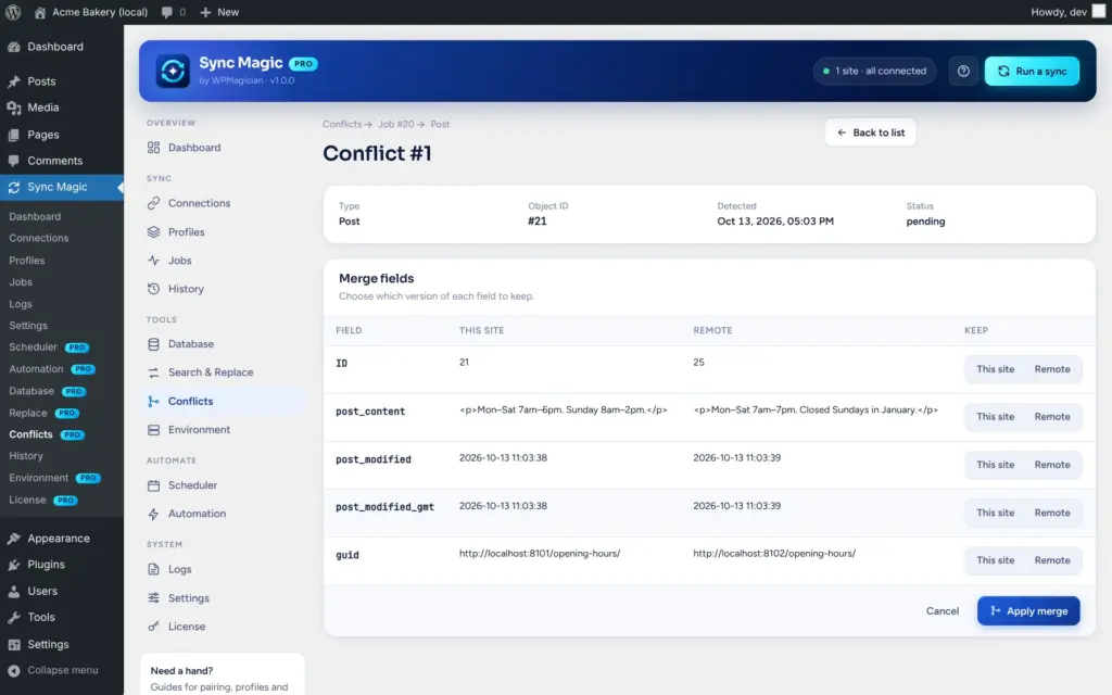 Sync Magic screenshot: Conflict review